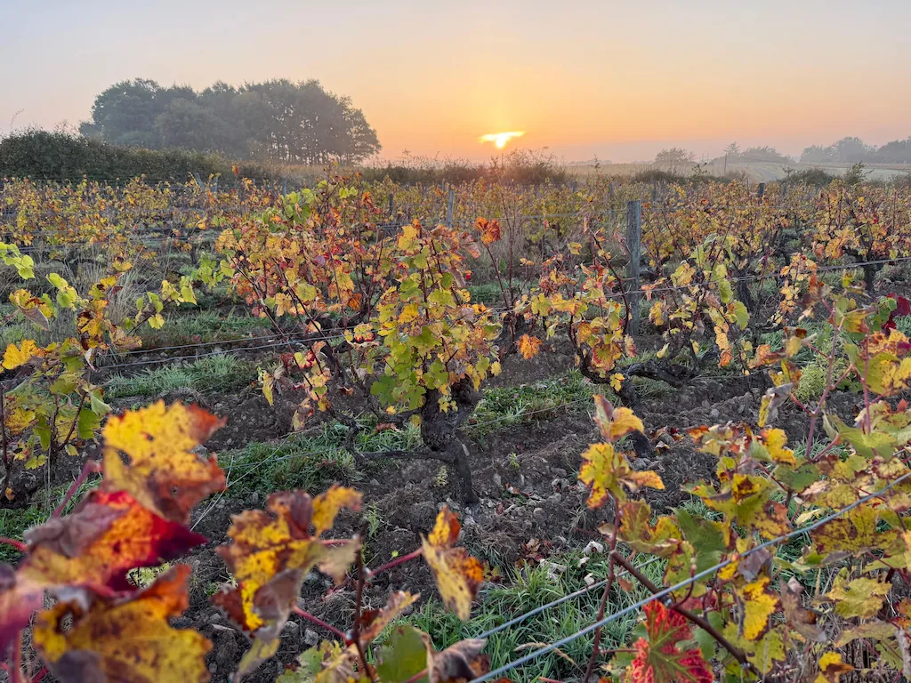 Paysage du terroir